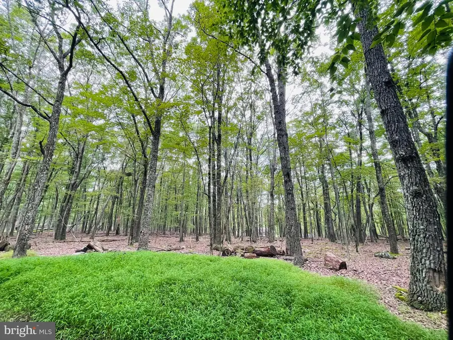 357 White Face Circle, Zion Grove, PA 17985 - #2