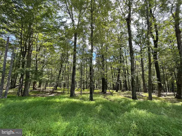116 Spring Mountain Dr, ZION GROVE, PA 17985