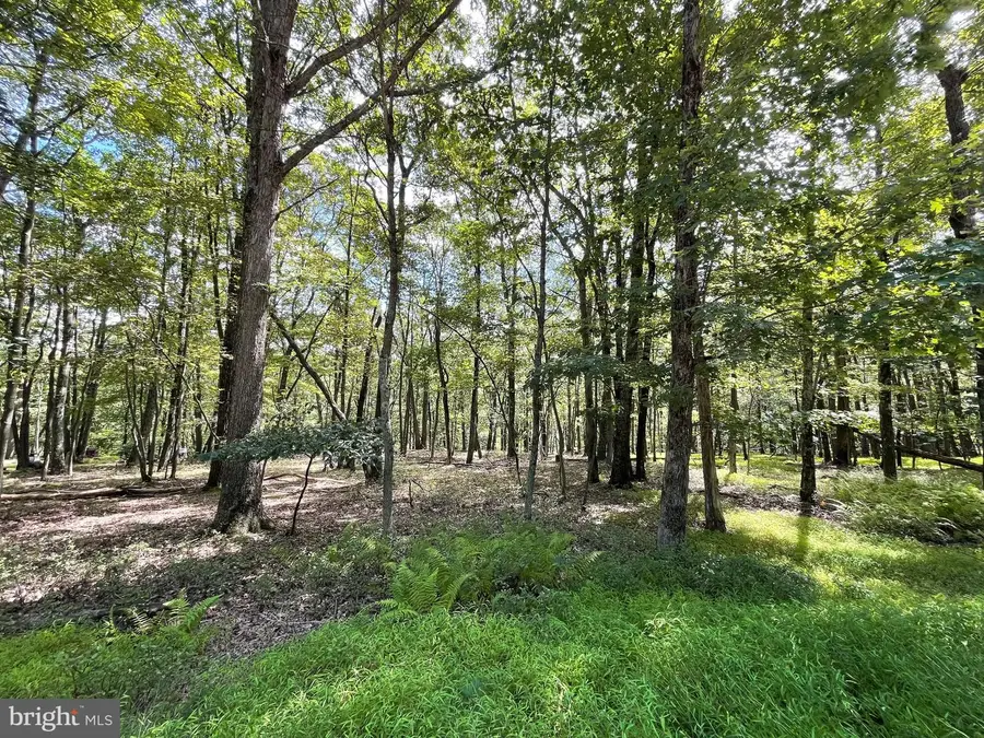 117 Spring Mountain Dr, Zion Grove, PA 17985 - #2
