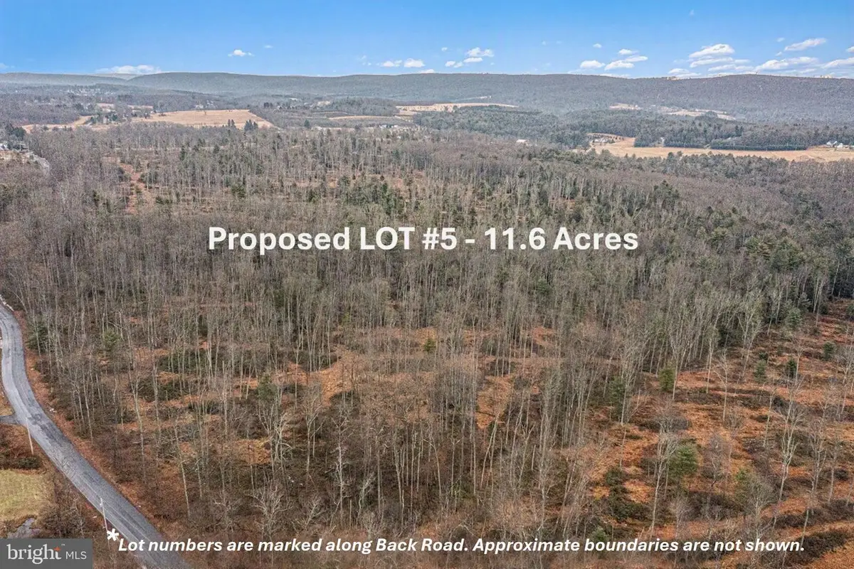 Lot 5 Back Rd S, Barnesville, PA 18214 - #1