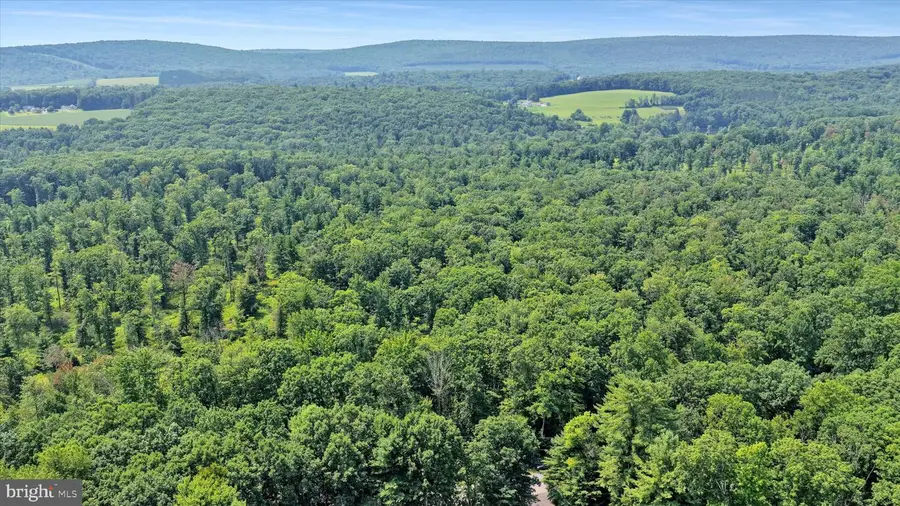 Lot 5 Back Rd S, Barnesville, PA 18214 - #3