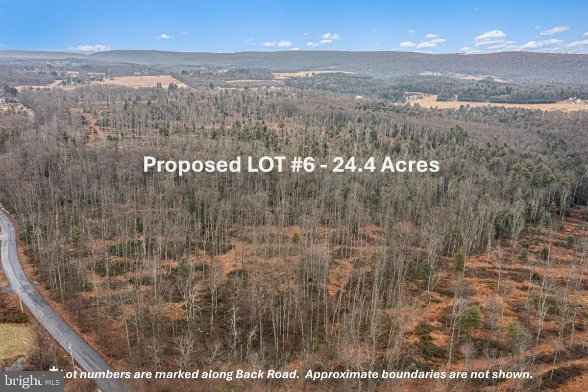 Lot 6 Back Rd S, Barnesville, PA 18214 - #1