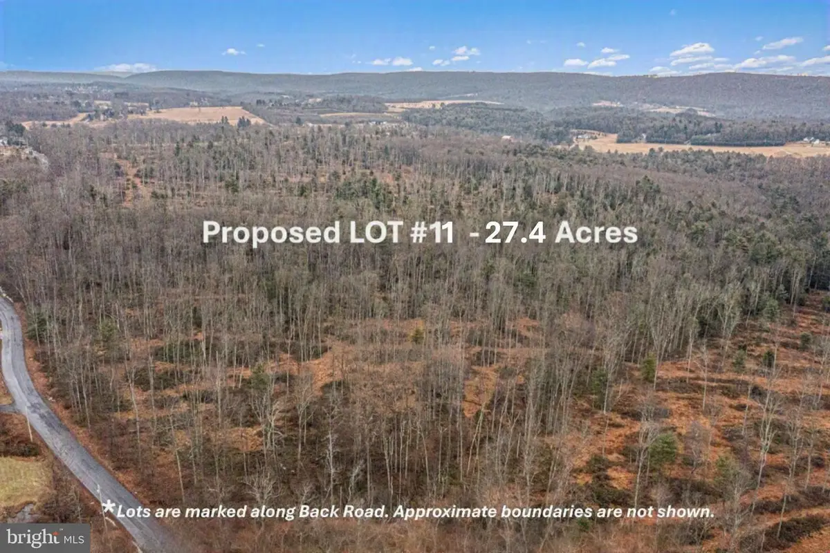 Lot 11 Back Rd S, Barnesville, PA 18214 - #1