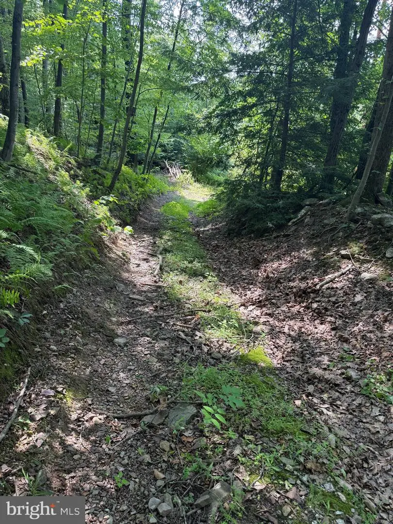0 Hauto, Nesquehoning, PA 18240 - #1