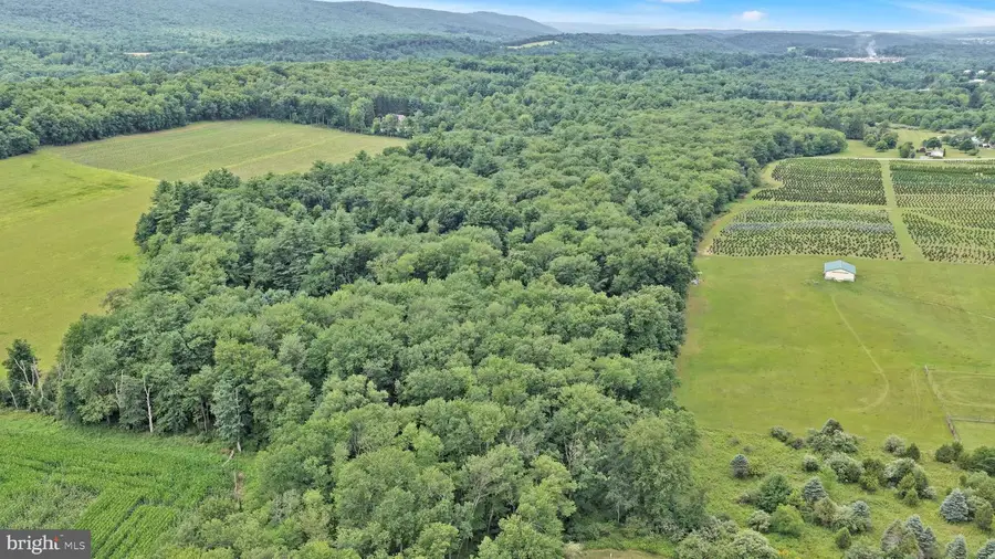 0 Summer Valley Rd, New Ringgold, PA 17960 - #3