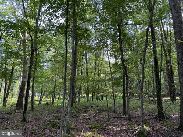 442 Haystack Drive, ZION GROVE, PA 17985