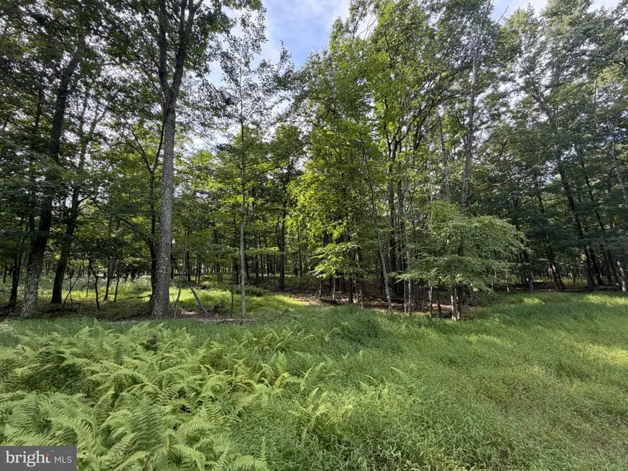404 Davos Circle, Zion Grove, PA 17985 - #3