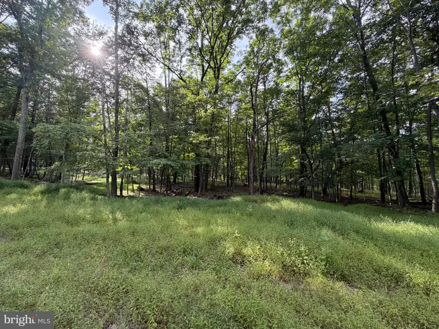 403 Davos Circle, Zion Grove, PA 17985 - #2