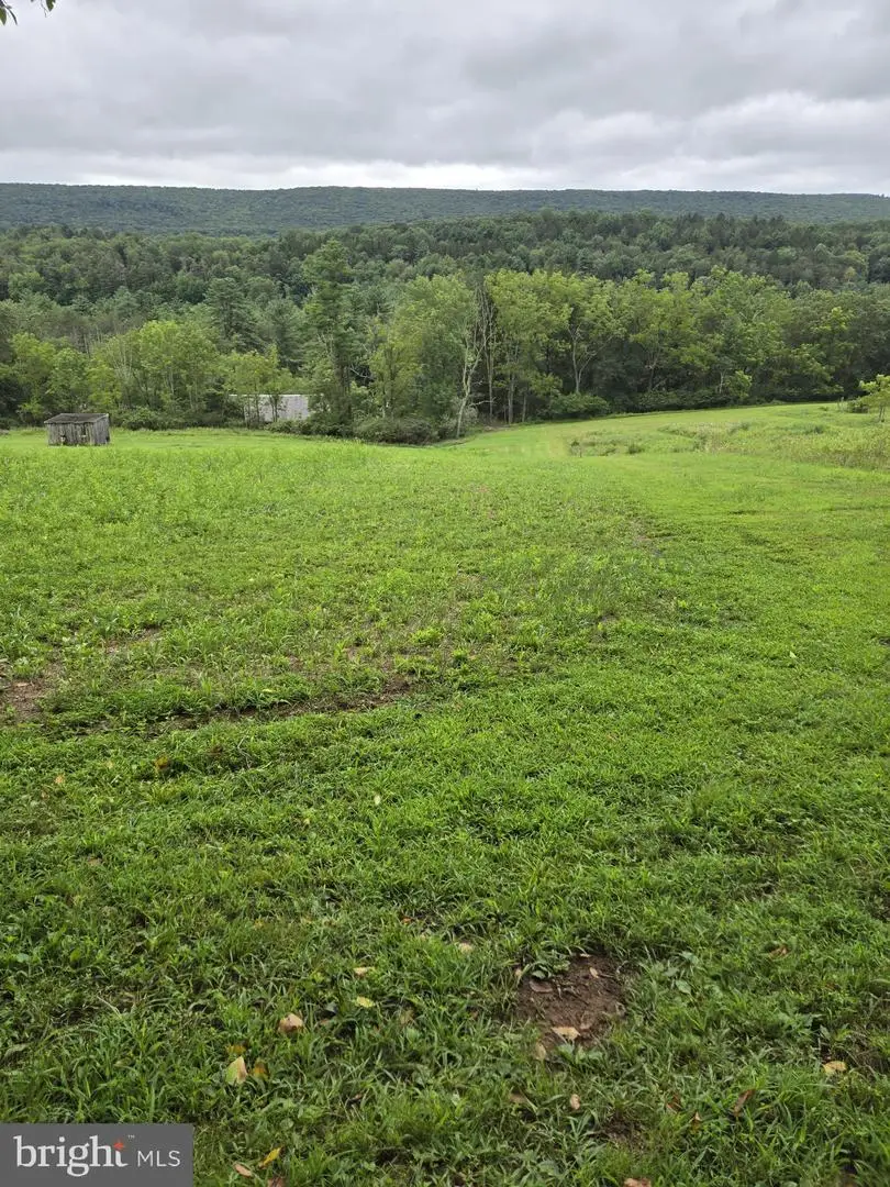 825 Pine Valley Rd, New Ringgold, PA 17960 - #2