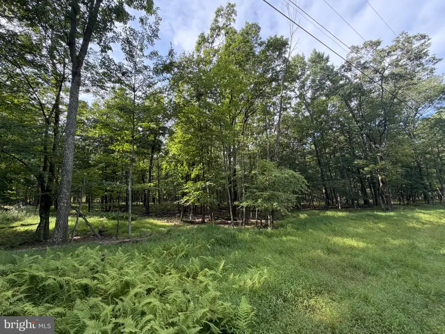 441 Haystack Drive, Zion Grove, PA 17985 - #2