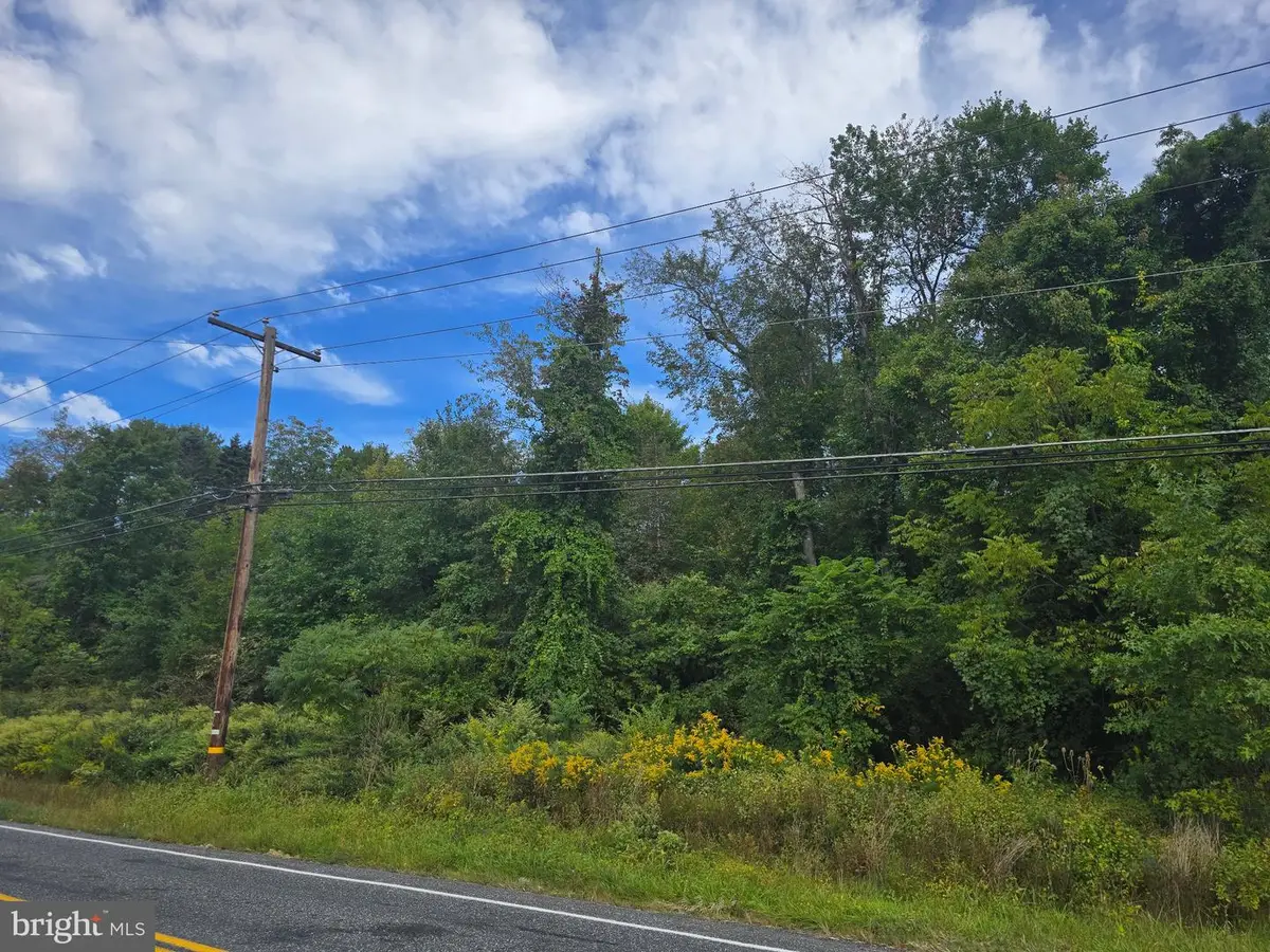 0 E Adamsdale Rd, Schuylkill Haven, PA 17972 - #1