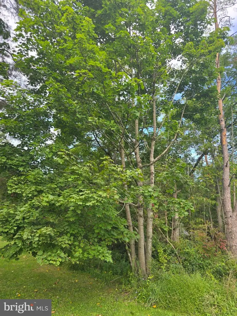 0 E Adamsdale Rd, Schuylkill Haven, PA 17972 - #2