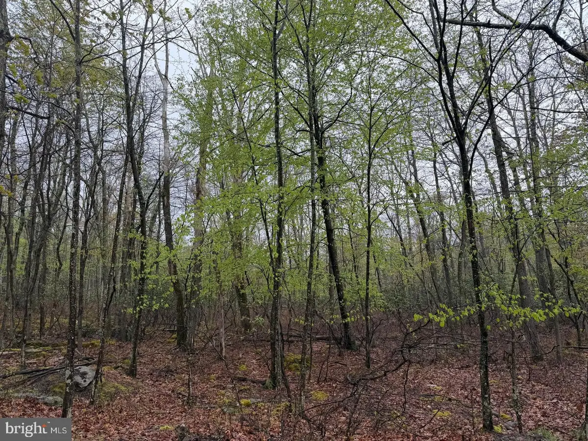 569 Haystack Drive, Zion Grove, PA 17985 - #1