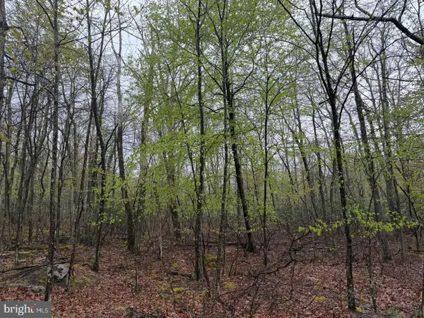 569 Haystack Drive, ZION GROVE, PA 17985