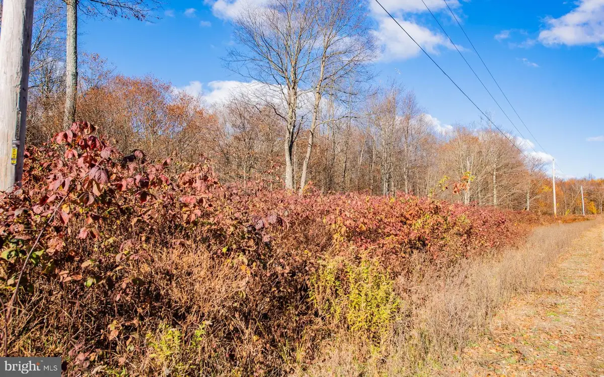 Parcel 030 Glory Ridge Rd, Shunk, PA 17768 - Image #1