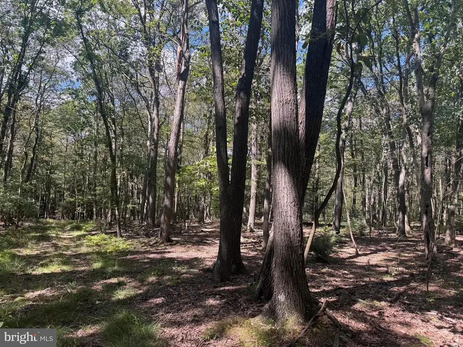 416+/- Acres Shaffer Mountain Rd, Cairnbrook, PA 15924 - Image #2