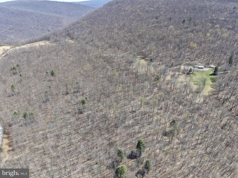 Tract 2: 40+/- Acres Off Of Tooland Rd, Fairhope, PA 15538 - #3