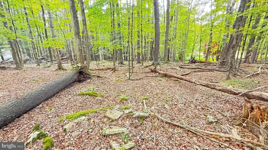 Lot 12 Andromeda Cir, Lake Ariel, PA 18436 - #2