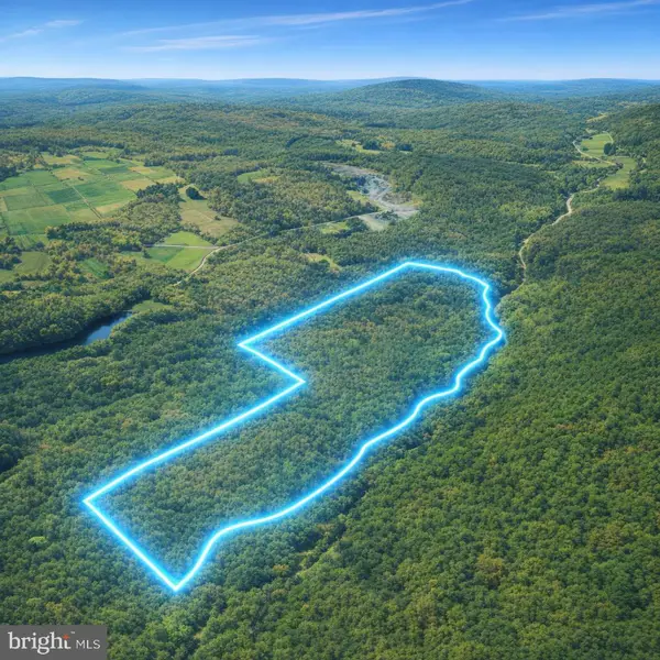 0 Crooked Creek Rd, PLEASANT MOUNT, PA 18453
