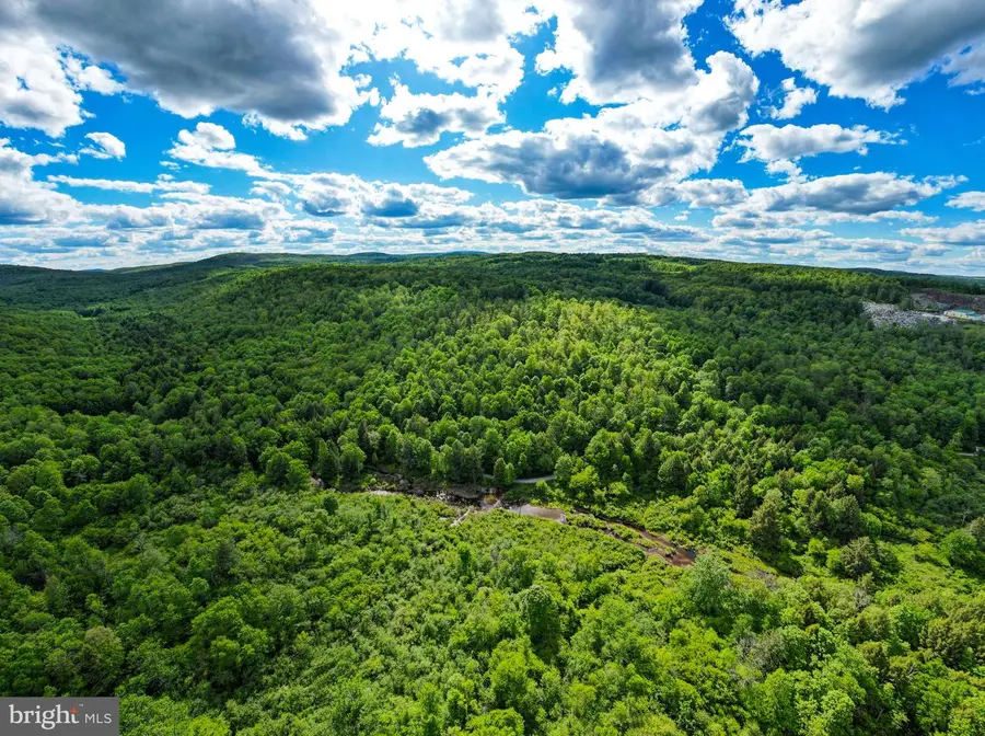 007 Crooked Creek Rd, Pleasant Mount, PA 18453 - #2