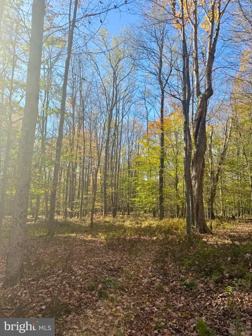 462 Patchen Rd, Spring Creek, PA 16436 - #1