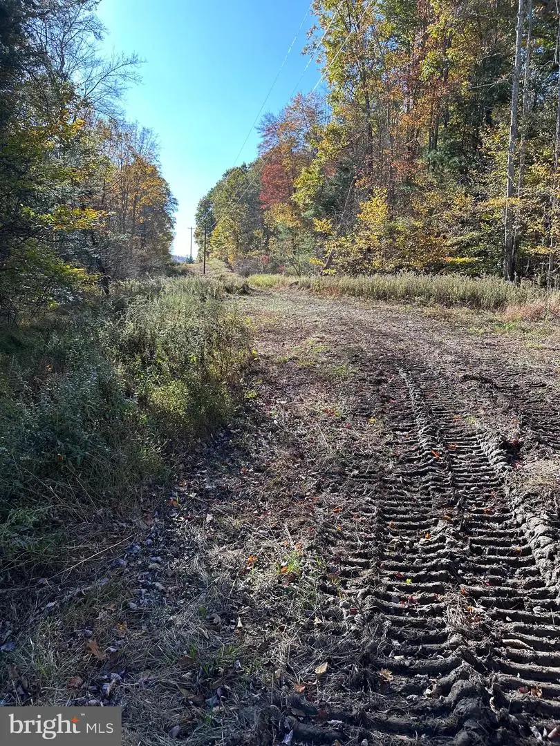 179 Banos Ln, Noxen, PA 18636 - #1