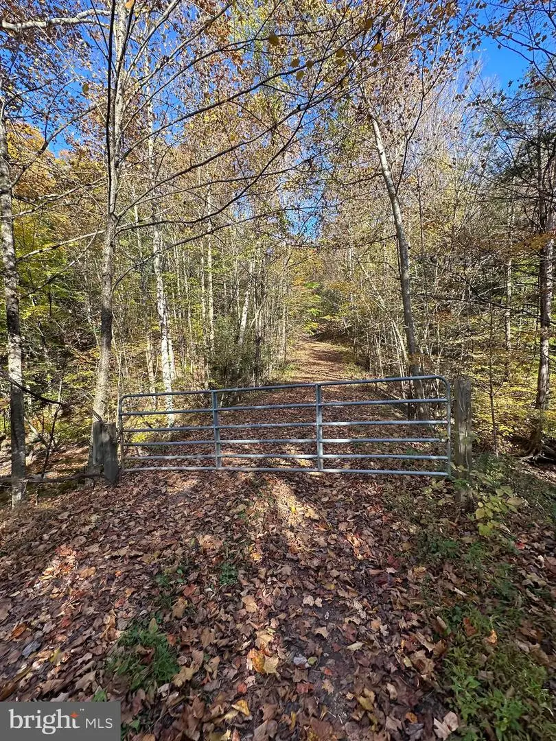 179 Banos Ln, Noxen, PA 18636 - #3