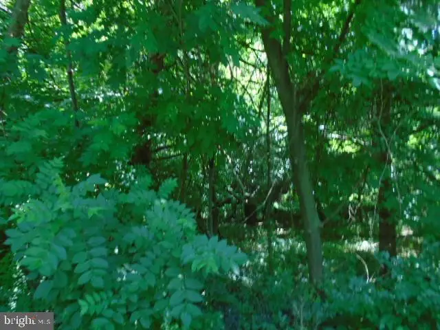 #1