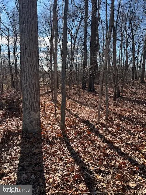 0 Five Forks Rd, Stewartstown, PA 17363 - Image #2