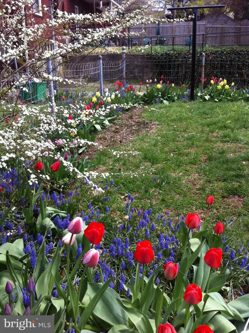 450 Pennsylvania Ave, York, PA 17404 - Image #3