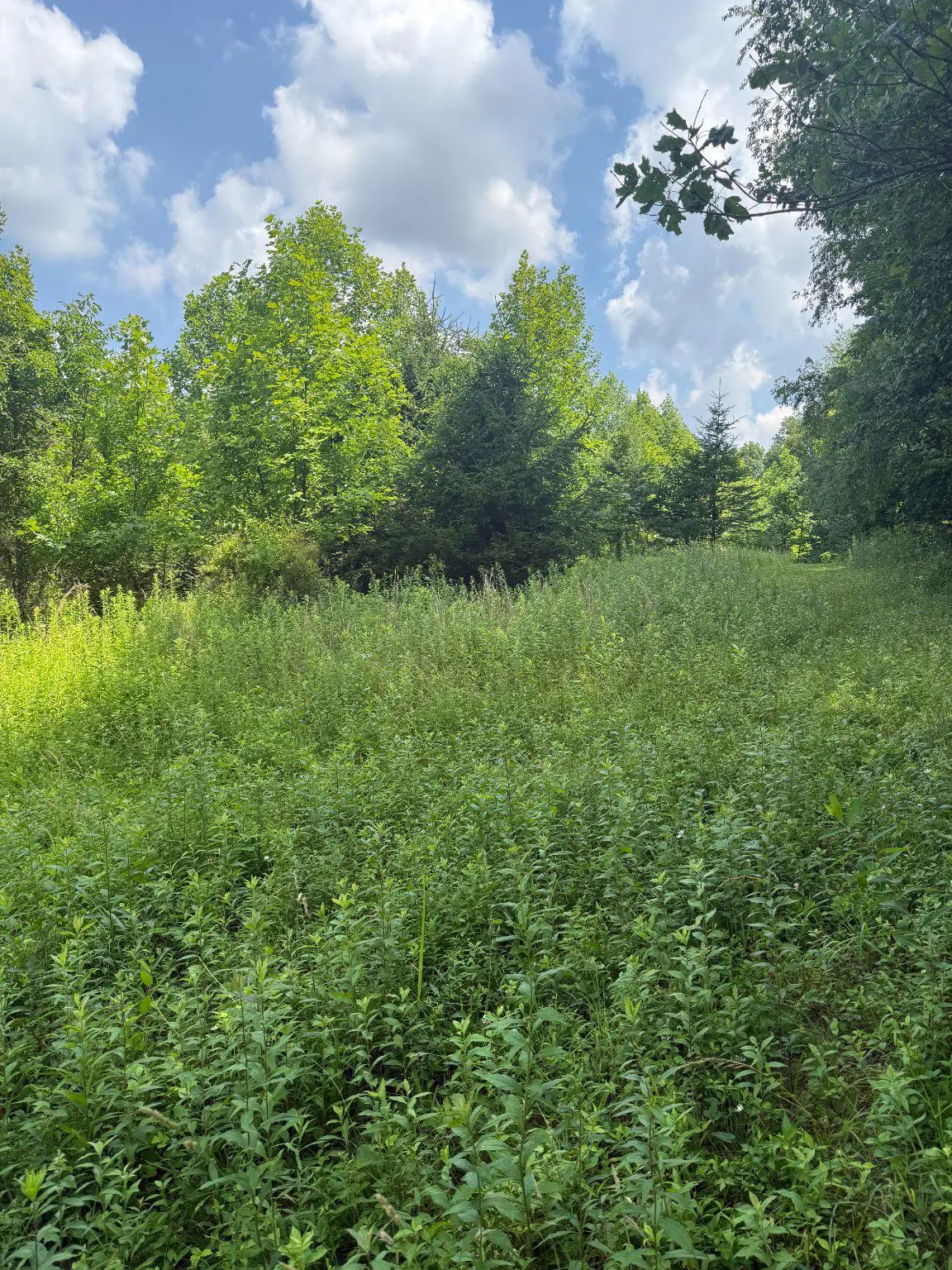 501 Tracey Rd, Hanover, PA 17331 - #1
