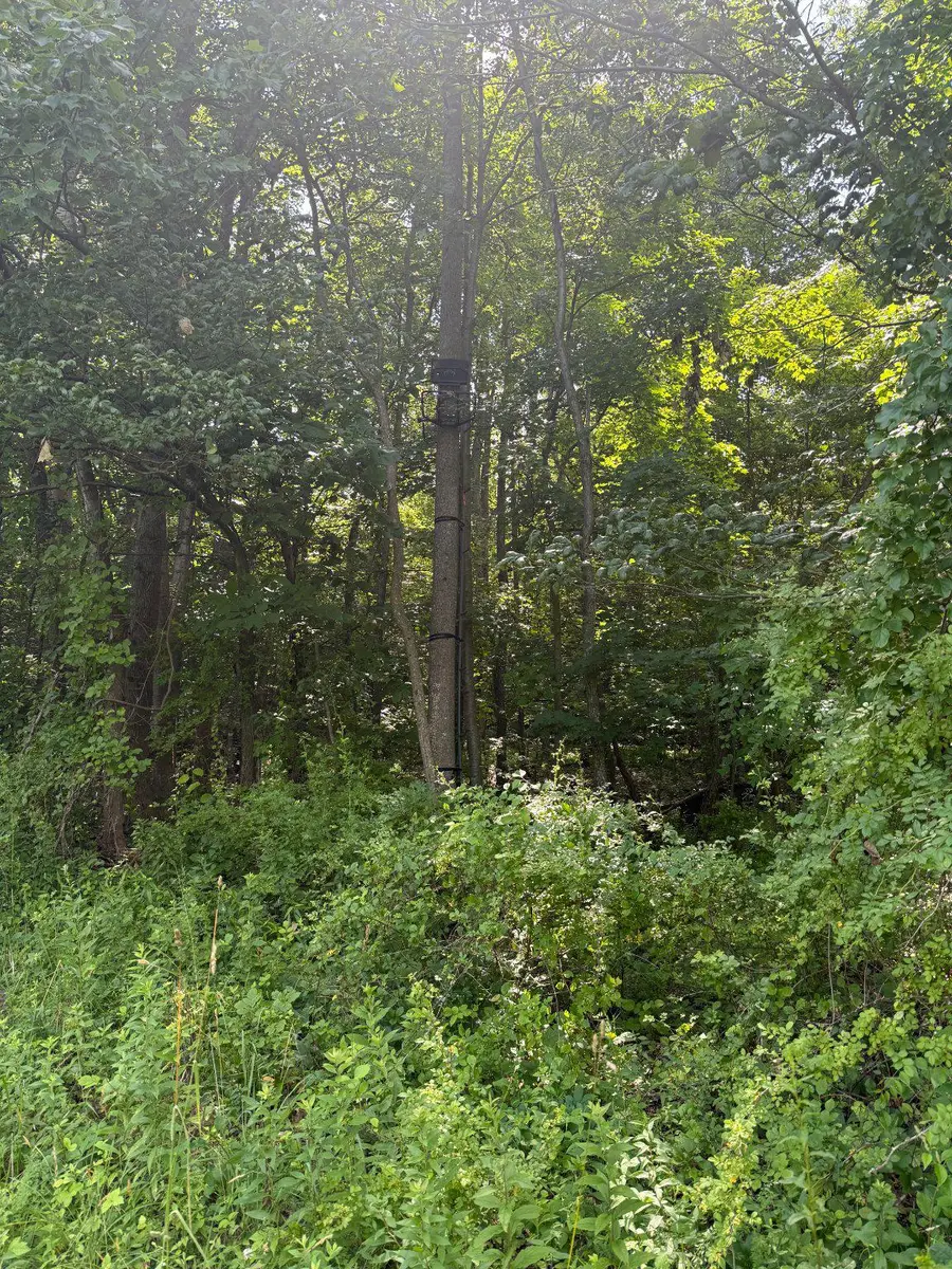 501 Tracey Rd, Hanover, PA 17331 - #3