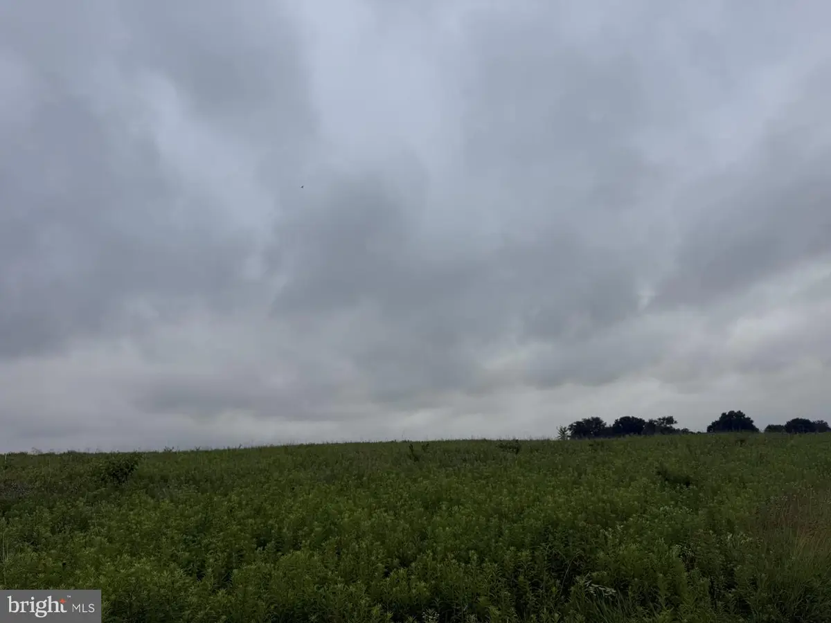 Lot 1 Old Mountain Road, Wellsville, PA 17365 - #1