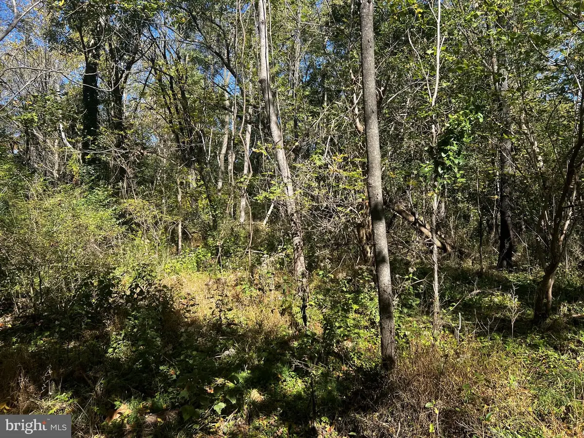418 Mountain Rd, Dillsburg, PA 17019 - #1