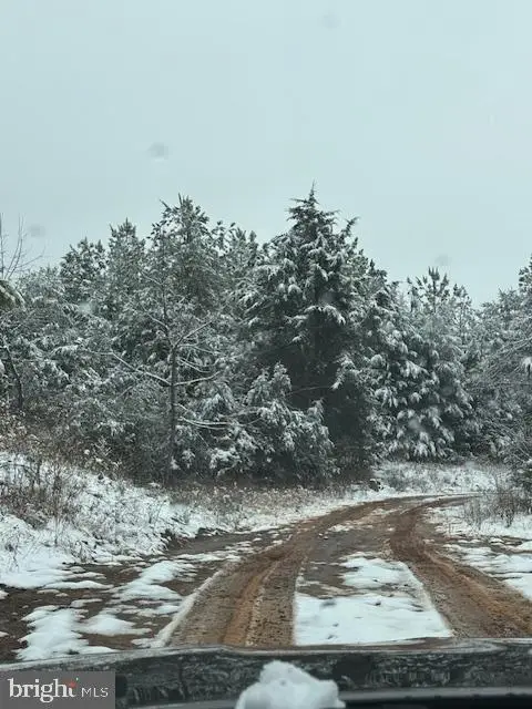 Mt Alto Rd, Esmont, VA 22937 - Image #1