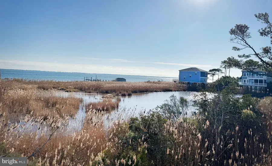 Lot 719 Castaway Dr, Greenbackville, VA 23356 - Image #2