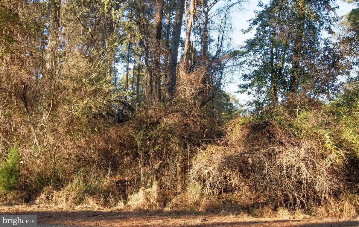 Lot 1098 Amidship Dr, Greenbackville, VA 23356 - Image #1