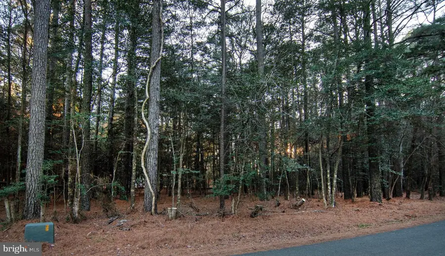 Lot 827 Castaway Dr, Greenbackville, VA 23356 - Image #2