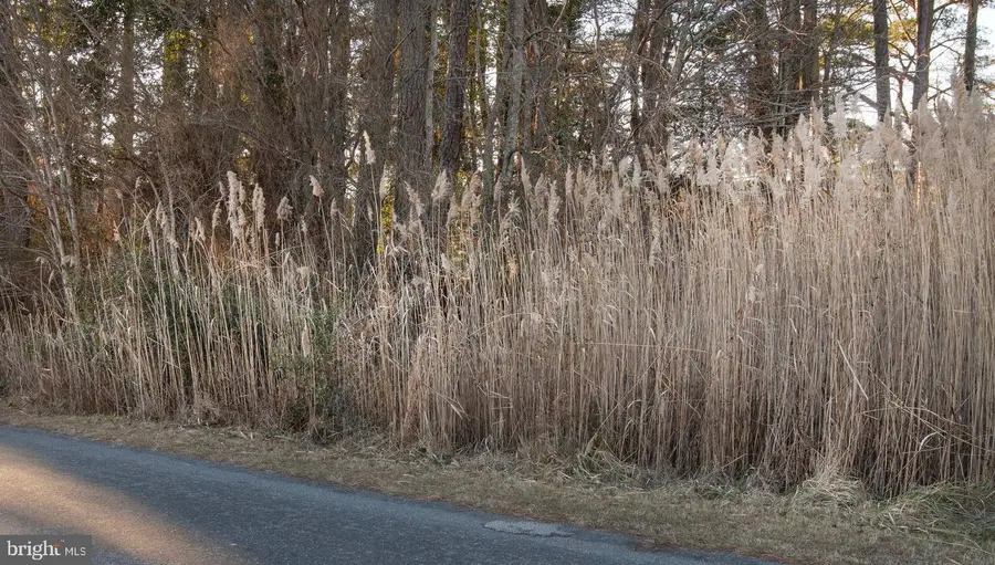 Lot 429 Captains Corr, Greenbackville, VA 23356 - Image #2