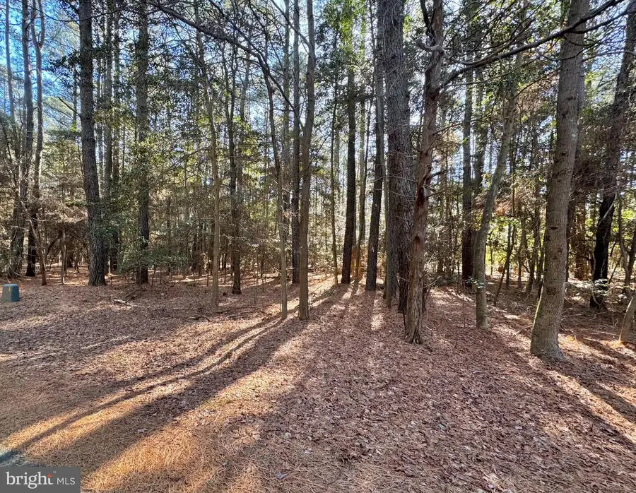 Lot 831 Castaway Dr, Greenbackville, VA 23356 - #3
