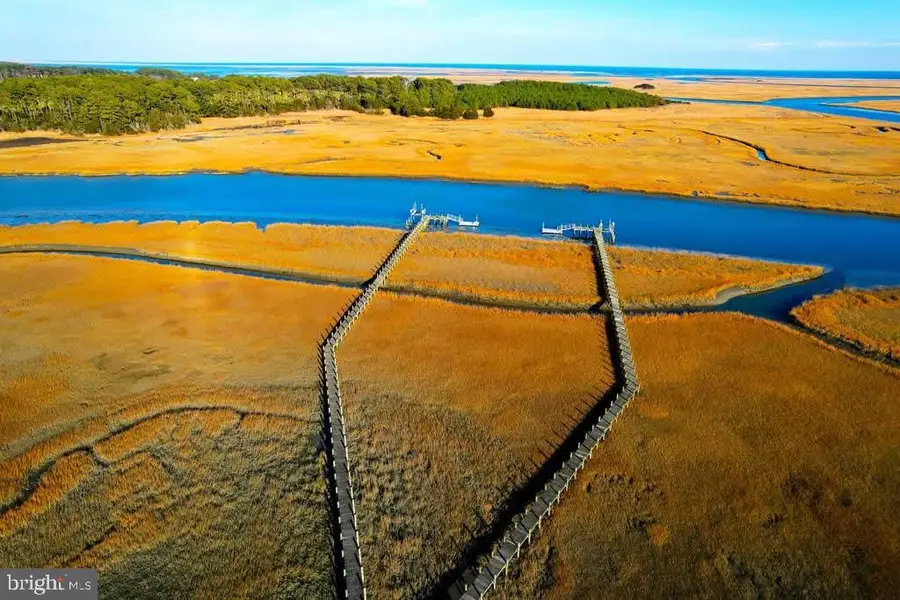 25323 Oceanview Ct, Accomac, VA 23301 - #3