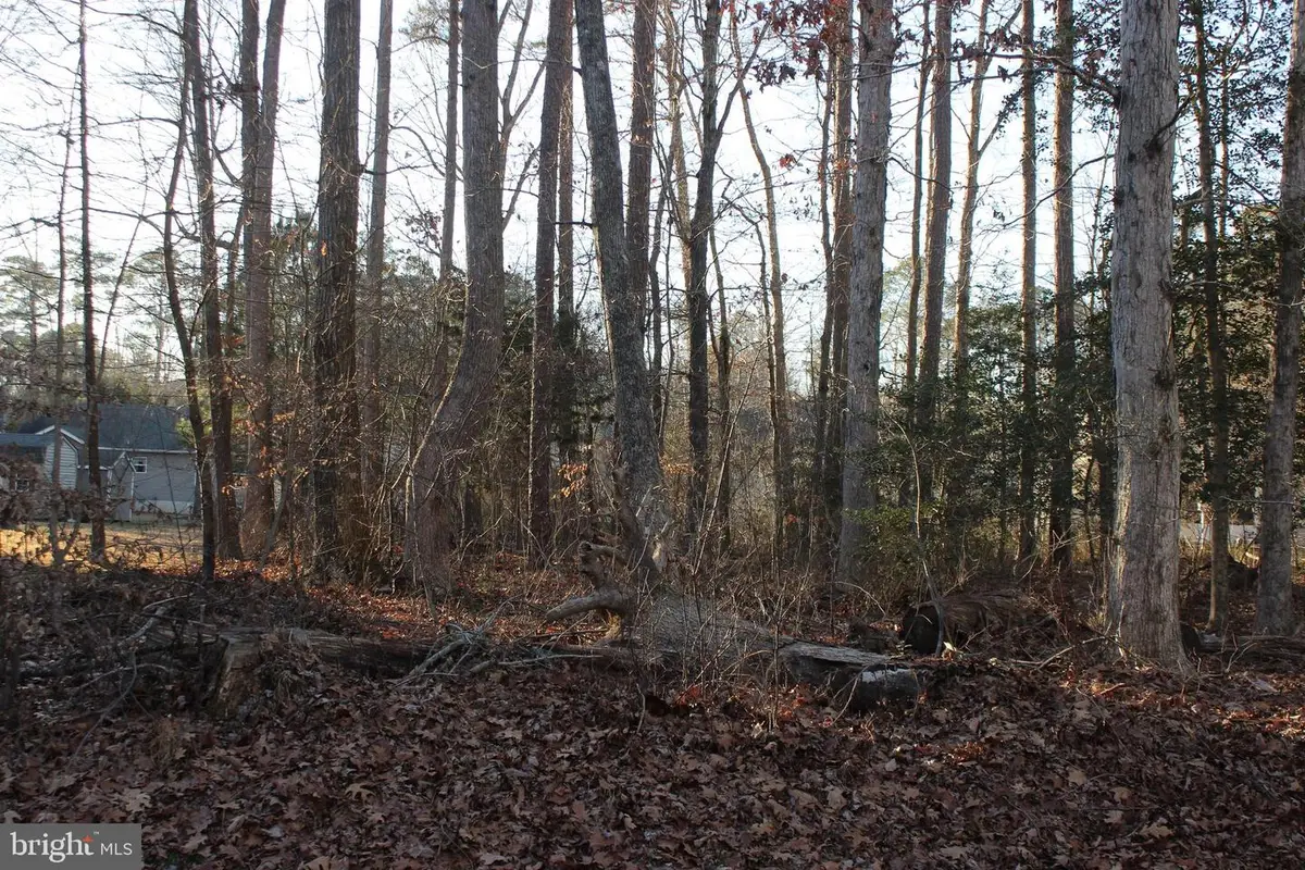 2375 Brigantine Blvd, Greenbackville, VA 23356 - #1