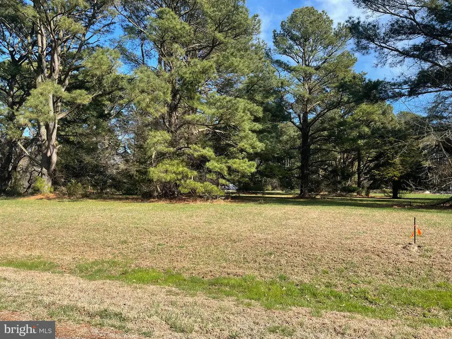 Lot 302 Underway Rd, Greenbackville, VA 23356 - #3