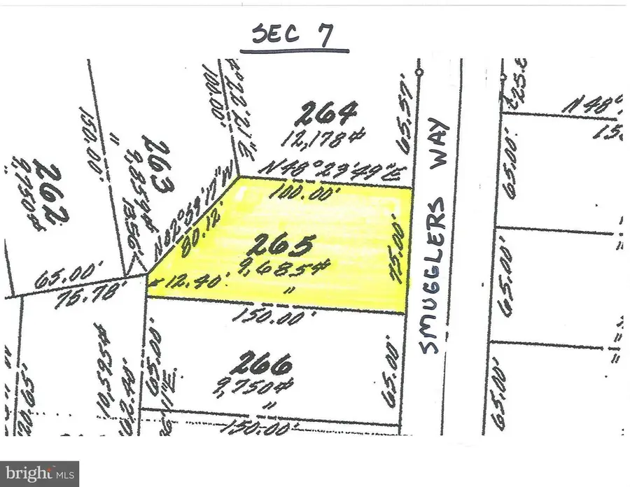 265 Smugglers Way, Greenbackville, VA 23356 - #3