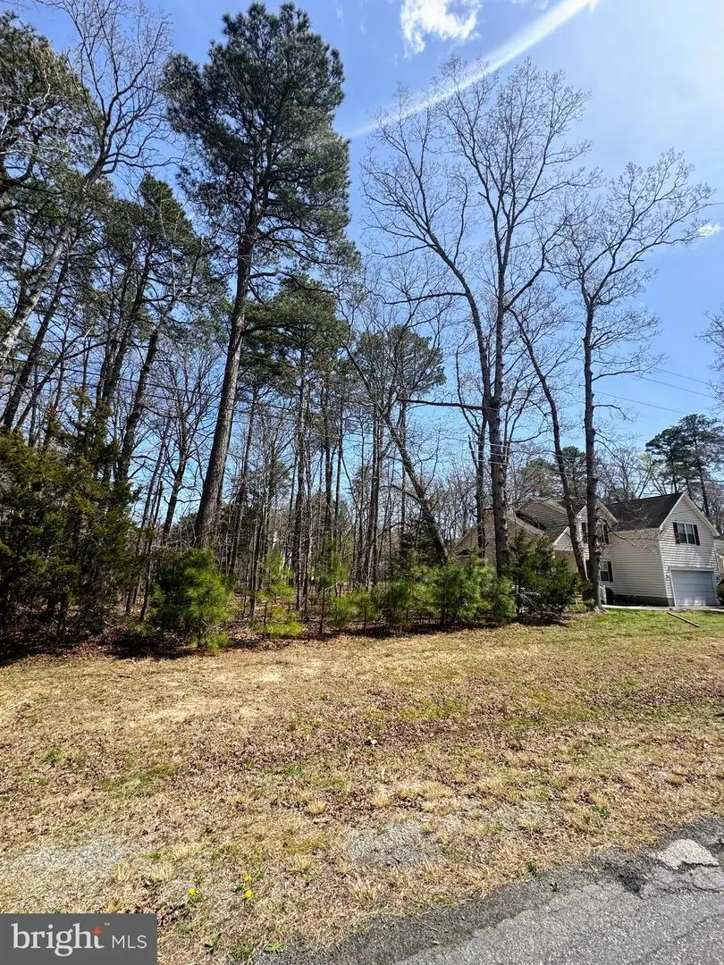 Lot 2553 Captains Cove Corridor, Greenbackville, VA 23356 - #3