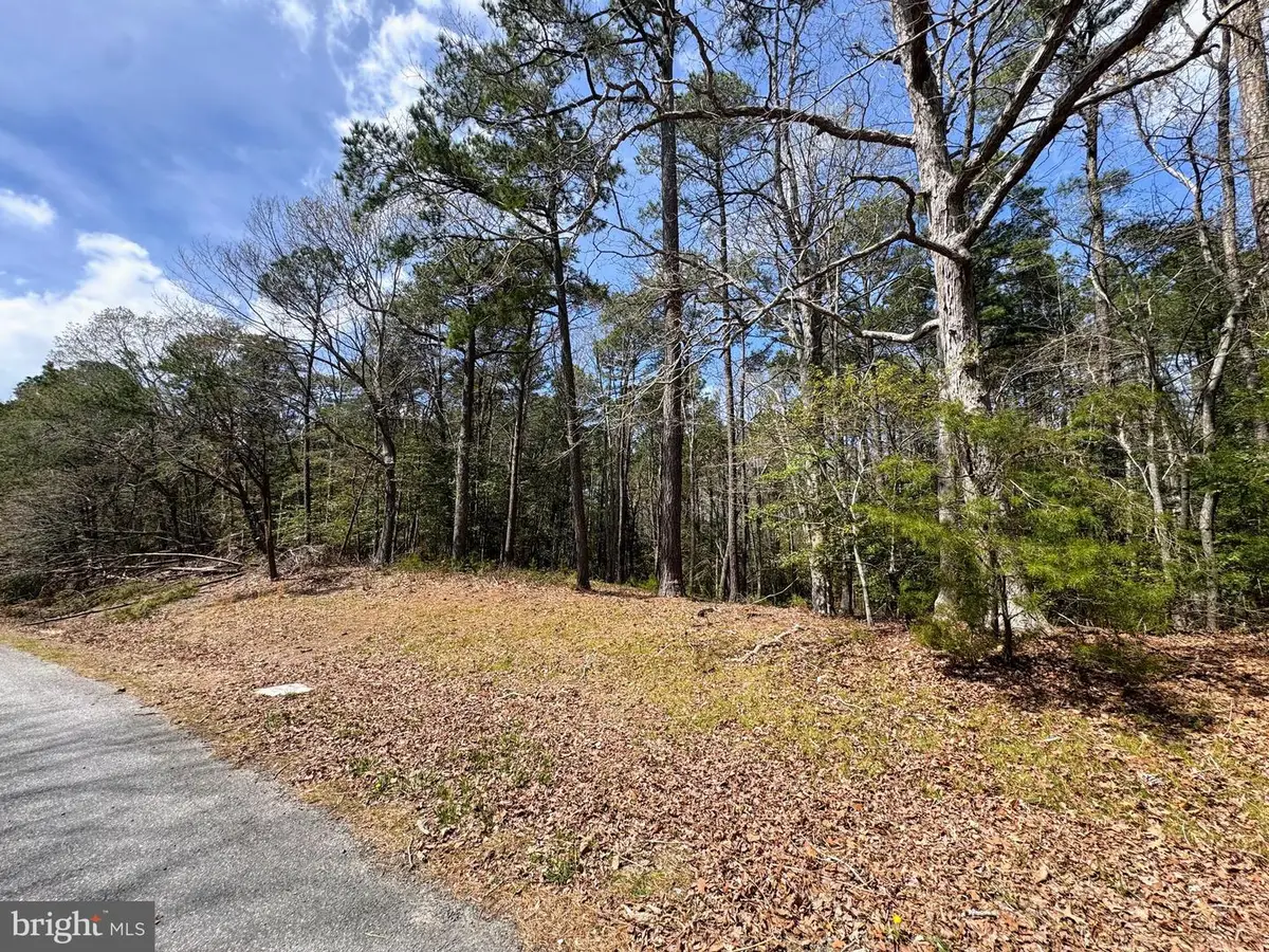 0 Mutiny, Greenbackville, VA 23356 - #1