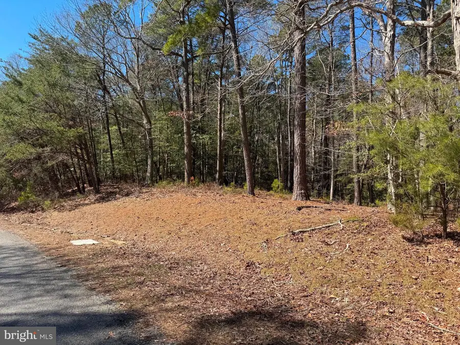 0 Mutiny, Greenbackville, VA 23356 - #2