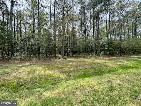 Lot 94 Olde Mill Ln, New Church, VA 23415 - #3