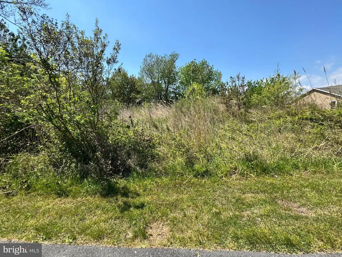 Lot 267 & 268 Wild Pony Ct, Chincoteague Island, VA 23336 - #1