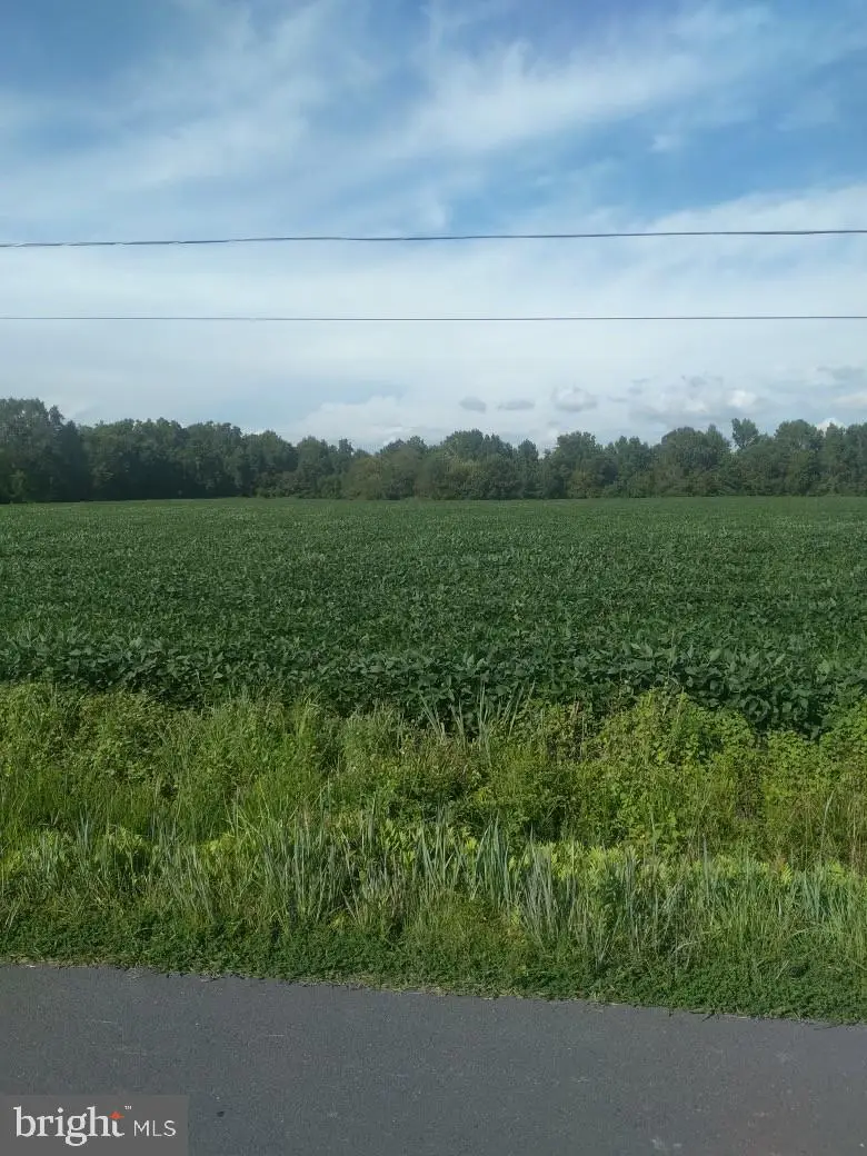 Lot 84 Mitchell Rd, Bloxom, VA 23308 - #1